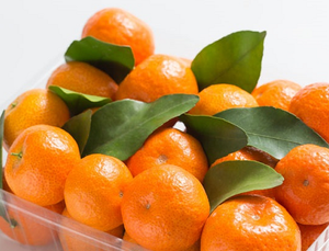 "The Grown-Up" Holiday Satsuma Gift Box